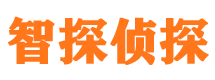 麻山寻人公司